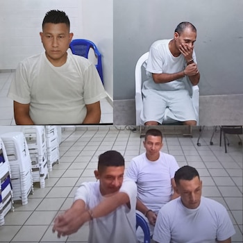 Los condenados fueron capturados durante el régimen de Excepción implementado en 2022 en la región de Santa Ana Este./ (Centros Judiciales El Salvador)