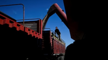 Todos esperan un Niño este