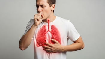 El estudio de Harvard que