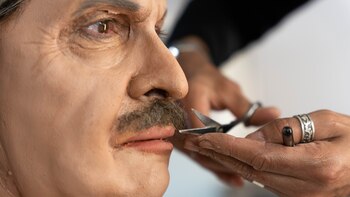 30 fotos del asombroso proceso