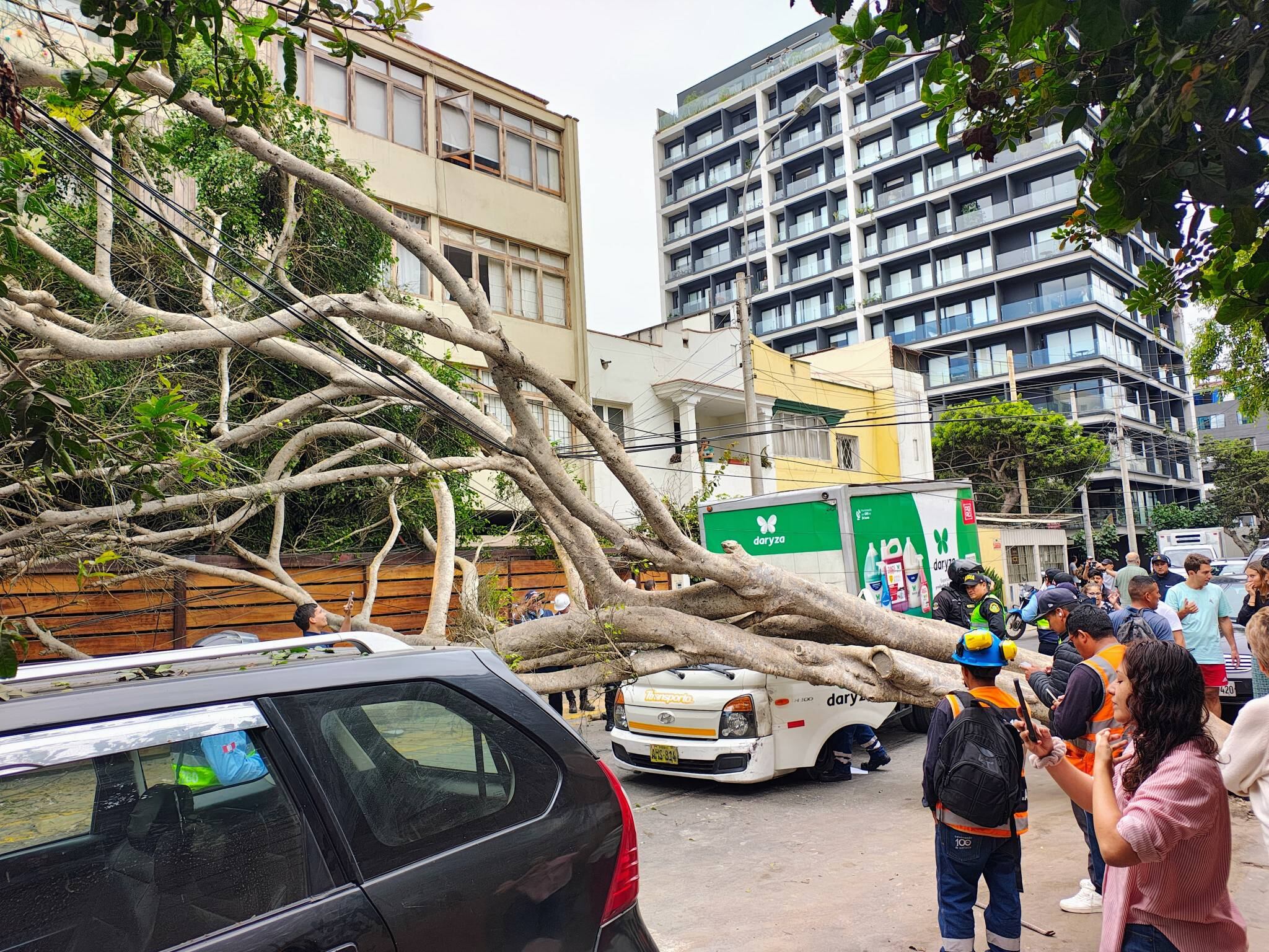 La cabina del vehículo quedó completamente destruida bajo el peso del árbol, según informaron las autoridades.Foto: Exigimos un Miraflores seguro.