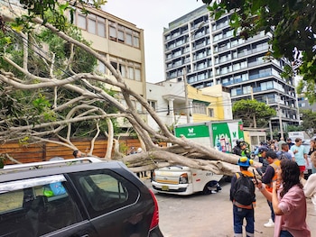La cabina del vehículo quedó