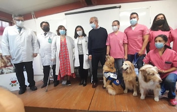 La terapia asistida por animales