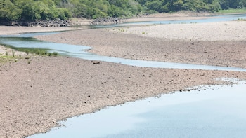 El fenómeno de El Niño reduce el caudal del río Lempa y agrava las pérdidas agrícolas en Centroamérica