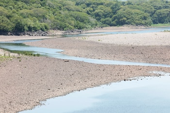 La UNES advirtió que la crisis hídrica en El Salvador tiene una dimensión regional por la dependencia de la cuenca del río Lempa de los aportes de Guatemala y Honduras. EFE/ Rodrigo Sura