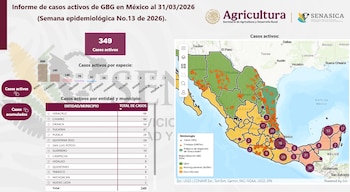 Los perros se enfrentan a un panorama preocupante ante el avance del gusano barrenador en México.