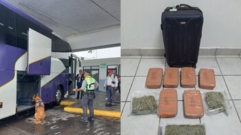 En Coahuila, binomio canino de