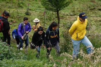 DT, permitió que 33 mujeres rurales por medio del programa de Cooperación Sur, se capacitaran y fortalecieran sus habilidades en temas de marketing, atención al cliente.
Foto vía: idt.gov.c