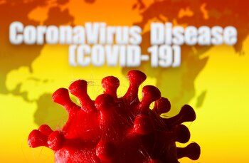 El nuevo coronavirus irrumpió en