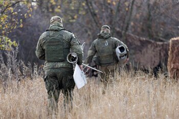 Imagen P3CU4HL3DNCILJBK6PNF34MIM4