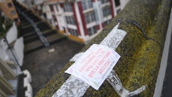 Suicidios en México: estos son