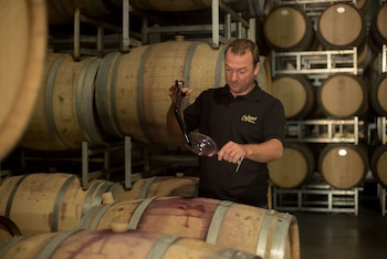 Un hombre con camisa polo negra vierte vino tinto de una barrica de madera a una copa de cristal con un sacamuestras, rodeado de barricas de roble apiladas