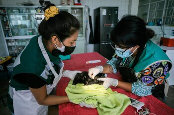 Atención en el Parque de