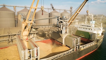Ajustan controles y procesos para acelerar la salida de granos de los puertos argentinos