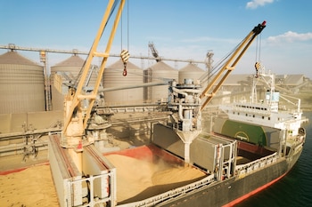 El objetivo es evolucionar hacia un esquema donde los controles convivan con una operatoria más dinámica, reduciendo fricciones en la logística portuaria (Foto: Shutterstock)