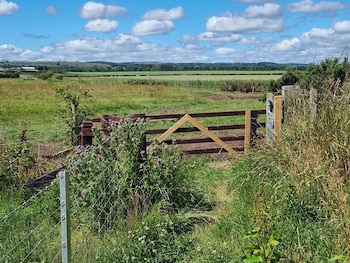 un campo verde con una valla delante