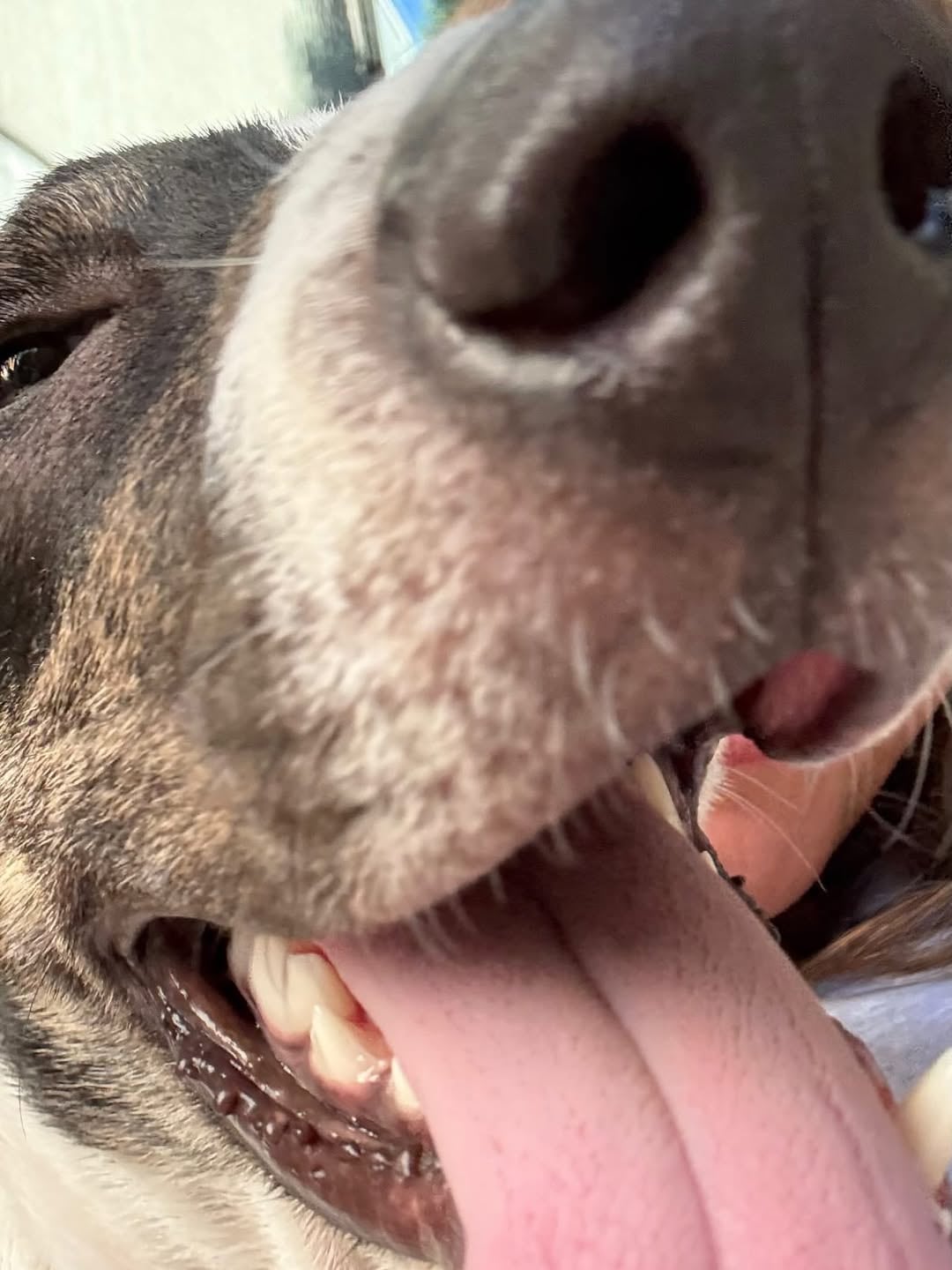 Malena Guinzburg presentó al nuevo miembro de su familia: “Bienvenido Vito a nuestra vida” (Instagram)