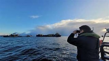 Las labores ahora se concentran