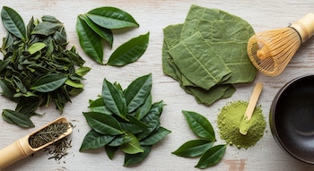 Los expertos recomiendan elegir té