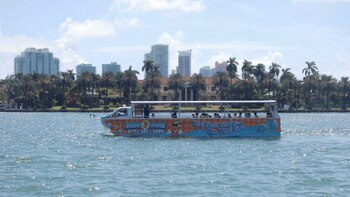 Miami: 6 paseos por mar