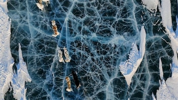 Miembros de la patrulla Sirius