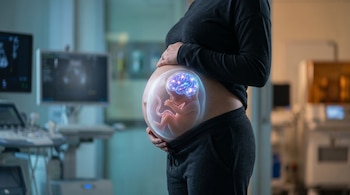 Imagen de una mujer embarazada de perfil con un efecto transparente en el abdomen revelando un feto y su cerebro iluminado.