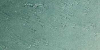 Imagen satelital de parejas de