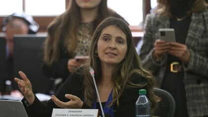 Paloma Valencia aseguró que no hay claridad del impacto fiscal de la reforma a la educación: “No saben cuánto va a valer”