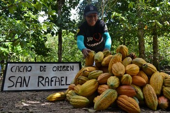 Cinco partidos políticos pondrán sobre