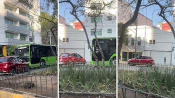 En redes sociales se viralizó