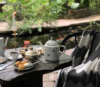 Una escapada al bosque está