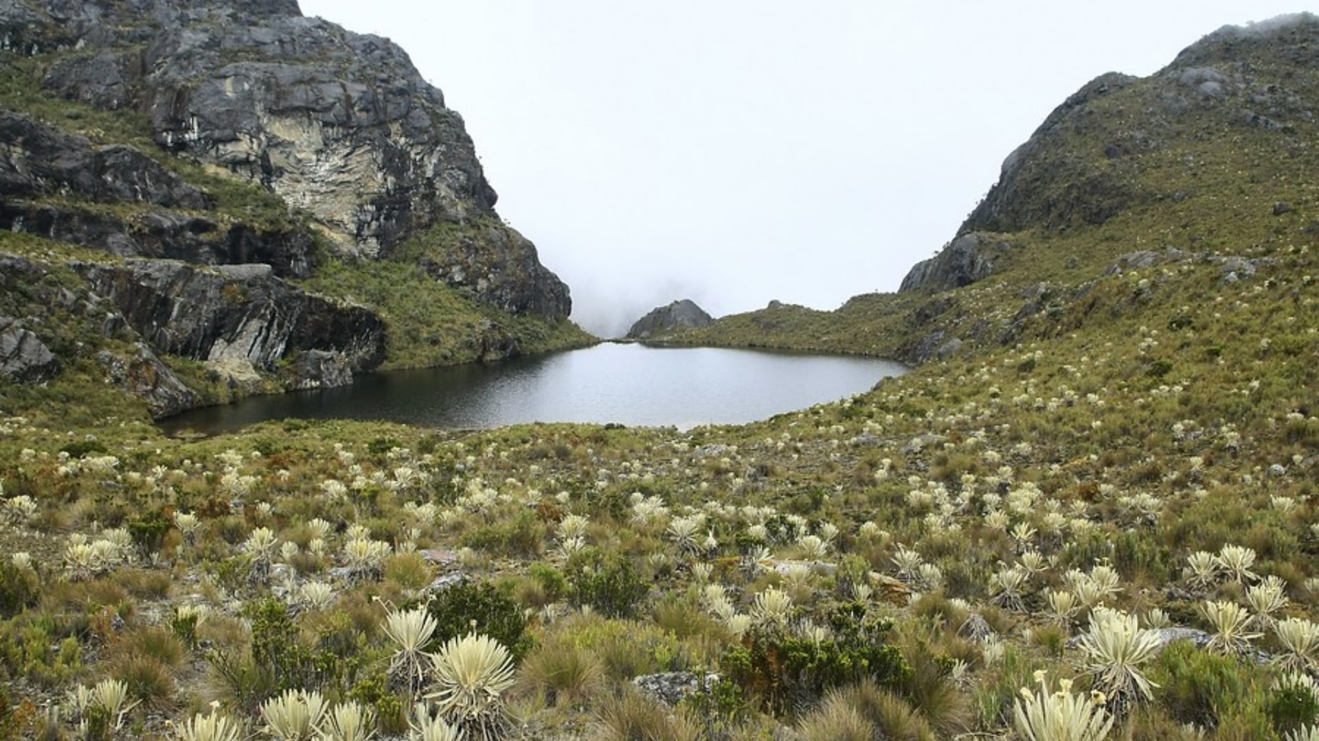 Gobierno de Abelardo de la Espriella tomó trascendental decisión sobre la protección de la reserva ecológica en Santurbán: anuló decisión de la administración Petro