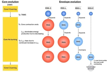La variedad de rutas evolutivas