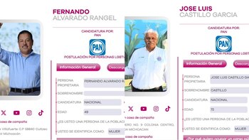 El PAN tiene cuatro candidatos
