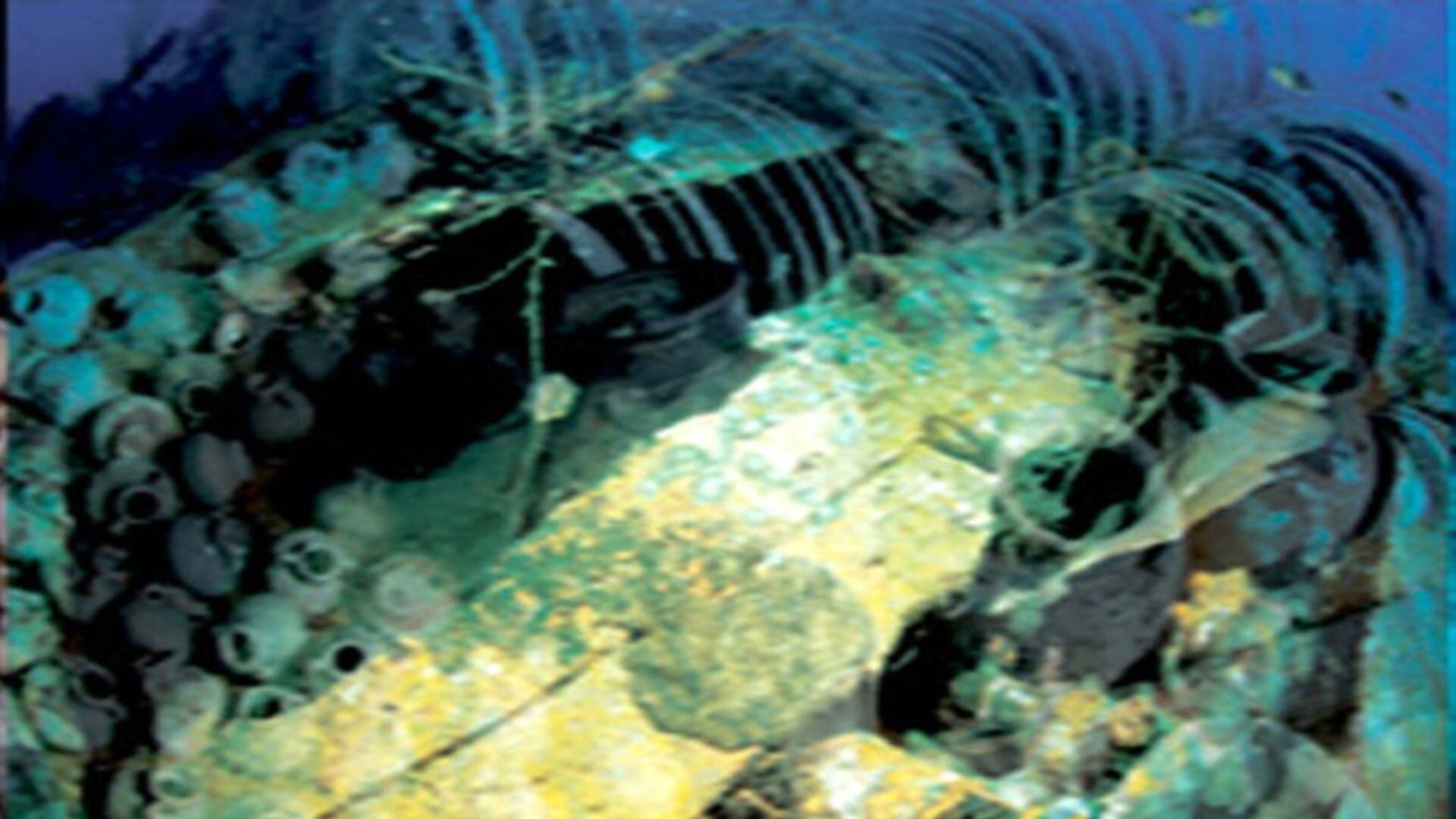 El hallazgo de barcos hundidos desafía la visión tradicional del aislamiento de la antigua China (Captura/YouTube)