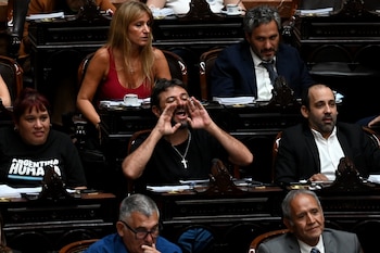 Juan Grabois en Diputados (RS
