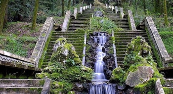 Escalinata de piedra con balustradas cubierta de musgo y vegetación. Una cascada de varios niveles desciende por el centro. Árboles verdes en el fondo