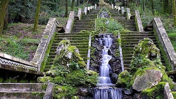 El “bosque que cura” está en Portugal y es el único de su tipo en toda la Península Ibérica