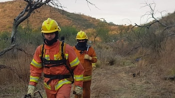 Córdoba bajo riesgo extremo por incendios forestales: cuáles son las medidas preventivas
