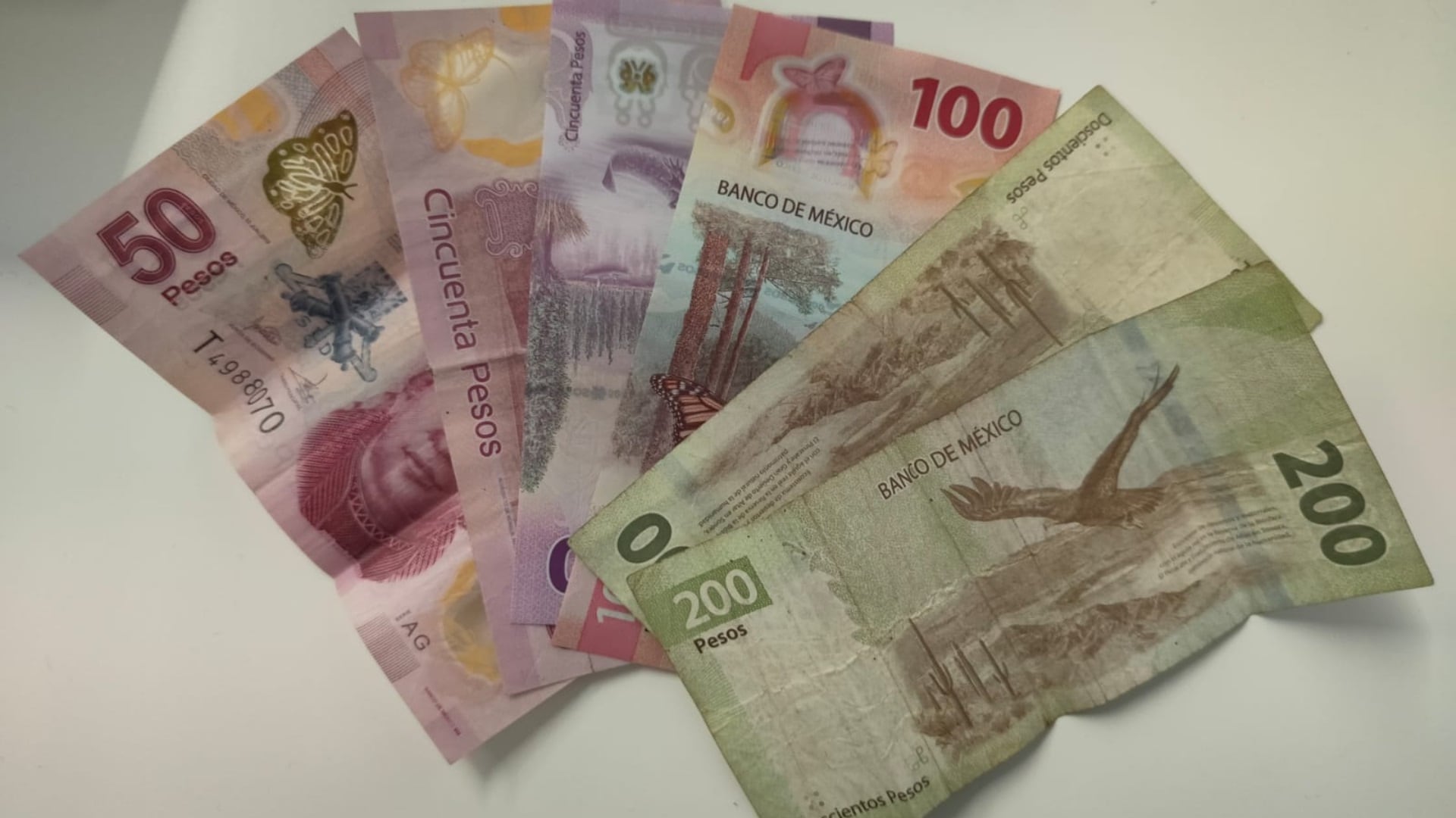 Dinero mexicano pesos (Jorge Contreras/Infobae México)