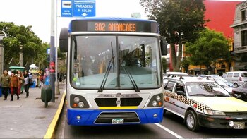 El lechucero: Conoce los horarios