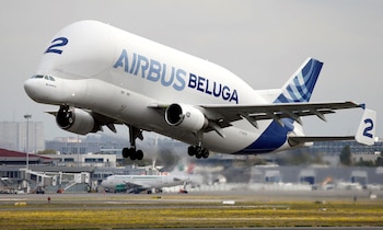 Un avión Airbus Beluga despega