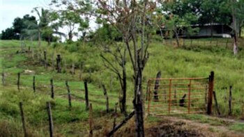 Muchas fincas del Zulia han