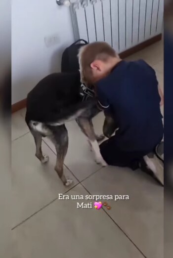 En muchos hogares, los