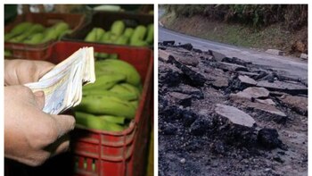 Precios de los alimentos en