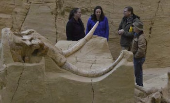 Cuatro personas junto a un bloque de sedimento que contiene un cráneo de mamut y dos grandes colmillos curvados