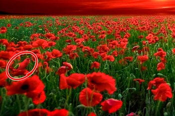 Aquí te dejamos la ubicación