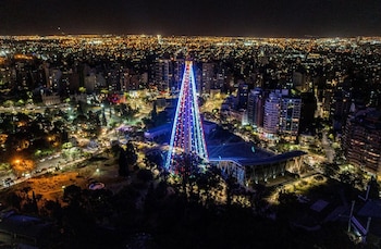 El árbol de Córdoba, en