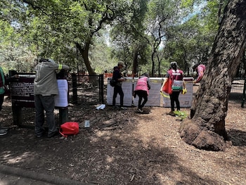 Cerca del mediod el pasado