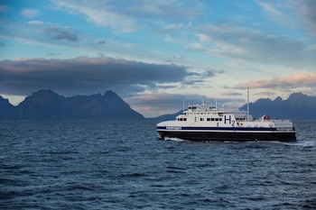 Combustibles alternativos